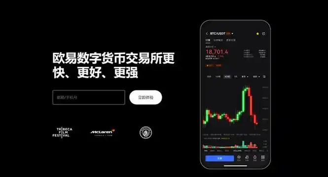 OKpay下载平台展示图